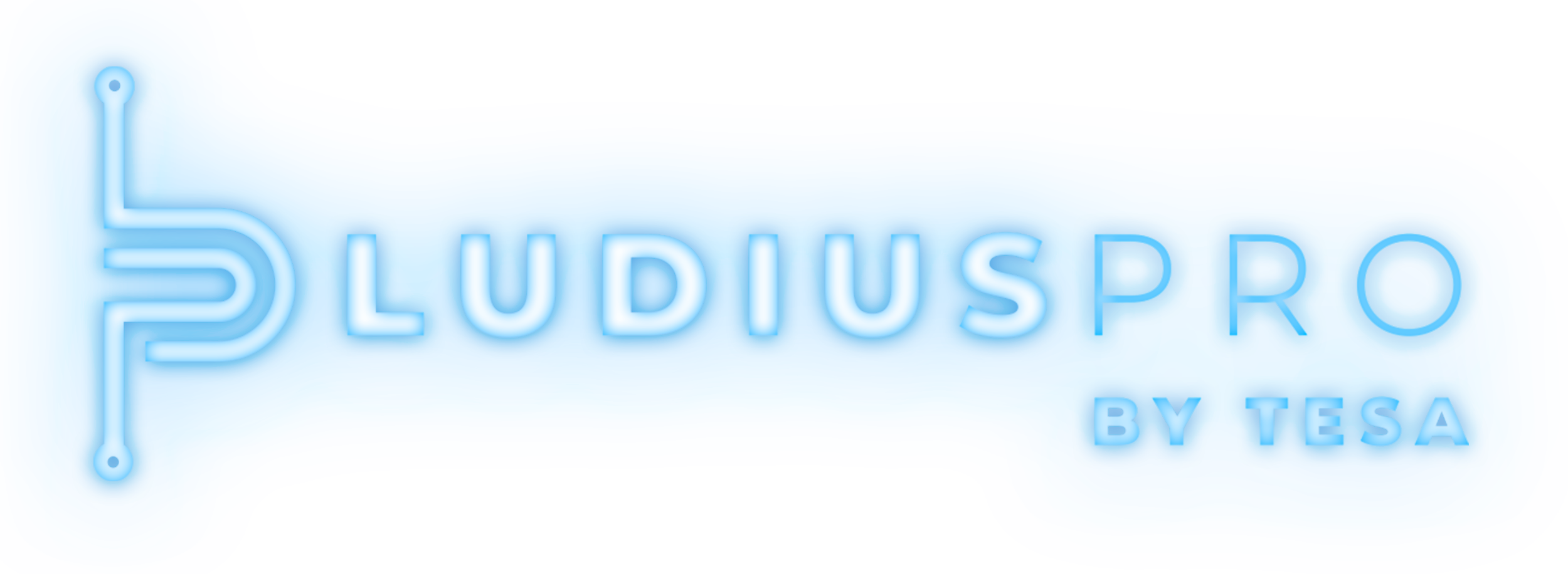 LUDIUS logo